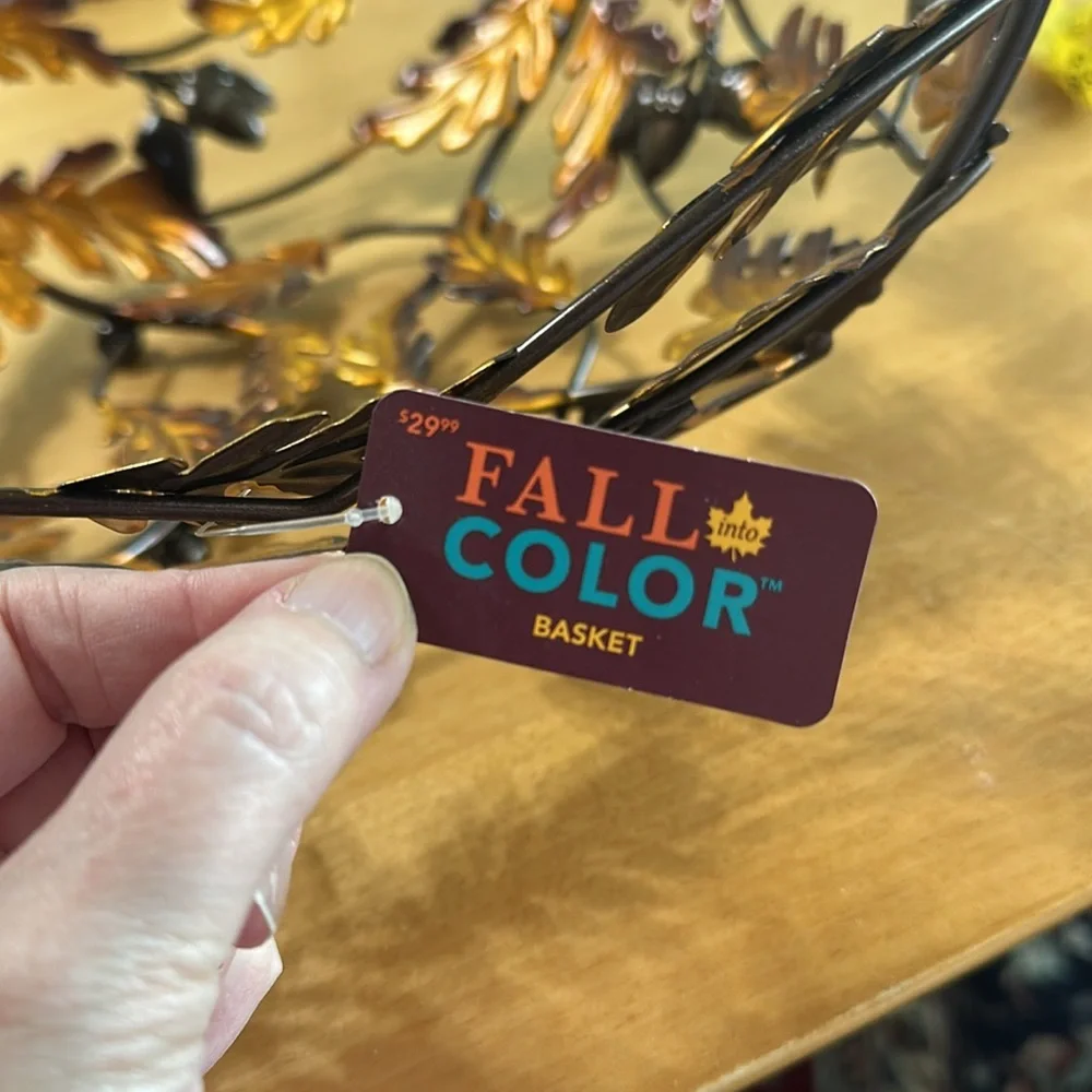 Fall Into Color Wire Basket